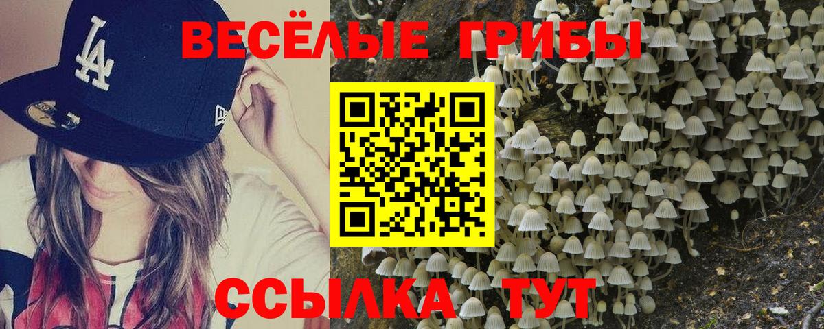 что такое   Псилоцибиновые грибы ЛСД  Вход с VPN  Нефтекамск  Галлюциногенные грибы ЛСД 