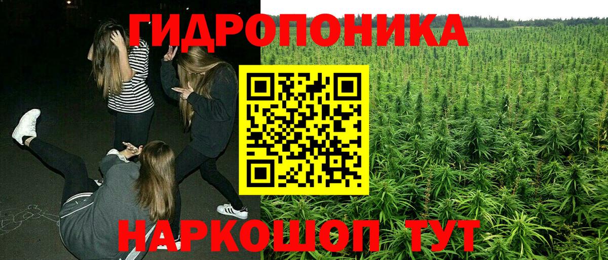 Бошки Шишки MAZAR Нефтекамск